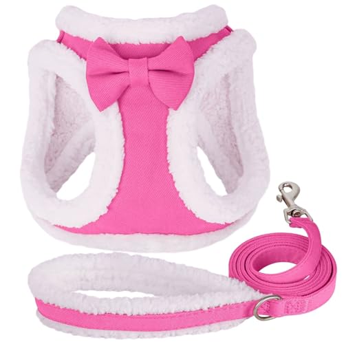 Didog Small Dog Harness and Leash Set, No Pull Adjustable Soft Padded Dog Harness Vest for XS Small and Medium Sized Dogs...