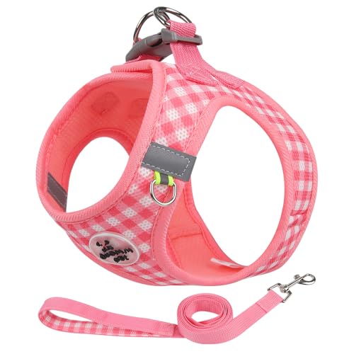 Soft Mesh Dog Harness and Leash Set, Step-in Escape Proof Vest Harnesses, Reflective Breathable Pet Harness Adjustable Pla...