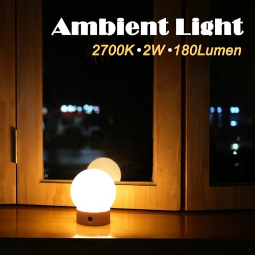WEILAILUX Small Cute Cordless Table Lamp Rechargeable, Battery Operated Shower Lamp Waterproof, Touch Dimmable Globe Ambie...