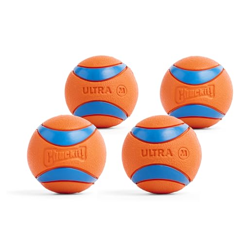 Chuckit! Ultra Ball Dog Toy - Medium Bouncy Fetch Balls For Dogs 20-60 lbs - Made from Durable Rubber - Floating Water Pet...