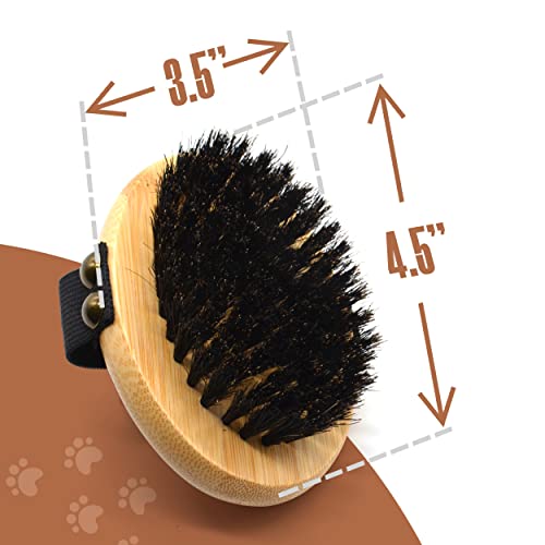 The Buddy System Pet Close Brush, Soft Touch Oval Palm Brush - Bamboo Massage Handheld with Soft Boar Bristles and Elastic...