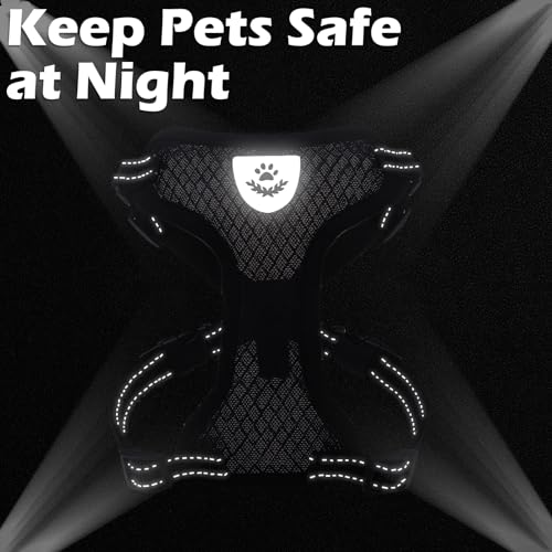 EXPAWLORER Cat Harness and Leash Set - Adjustable Escape Proof, Soft Reflective Vest Harness for Outdoor Walking, Breathab...