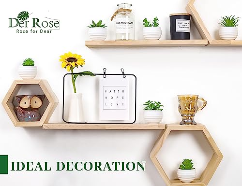 Der Rose Set of 6 Succulents Plants Artificial in Pots Small Fake Plants for Bedroom Aesthetic Living Room Shelf Bathroom ...