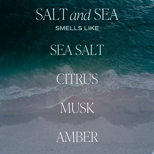 Sweet Water Decor Salt & Sea Reed Diffuser Set - Sea Salt Citrus & Musk Amber Scent Diffuser - Reed Diffusers for Home wit...