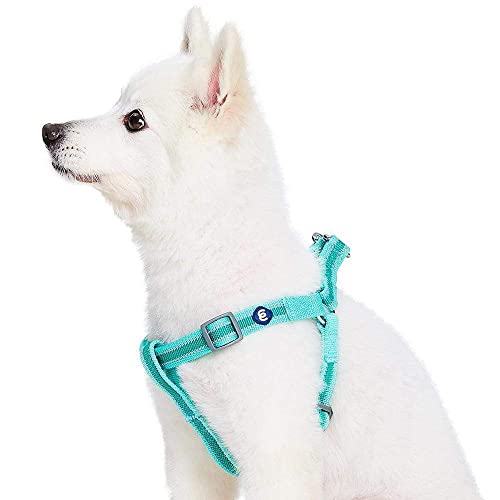 Blueberry Pet Essentials Step-in Reflective Back to Basics Dog Harness, Minty Green, Chest Girth 20" - 26", Medium, Adjust...