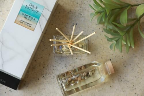Urban Naturals Ocean Mist & Sea Salt Reed Diffuser Set | Made with Essential Oils & Real Seashells | Decorative Air Freshe...
