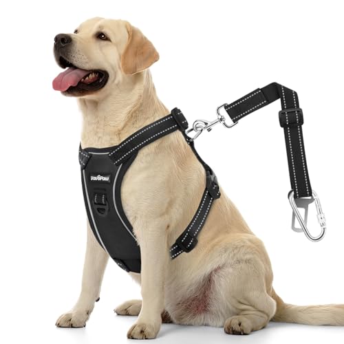 VavoPaw Dog Seat Belt Harness for Car, Dog Car Harness Adjustable Mesh Breathable & Dogs Seatbelt Safety Tether with Elast...