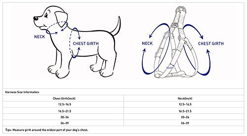 Blueberry Pet Essentials Step-in Spring Scent Inspired Garden Floral Dog Harness in Light Purple, Chest Girth 16.5" - 21....