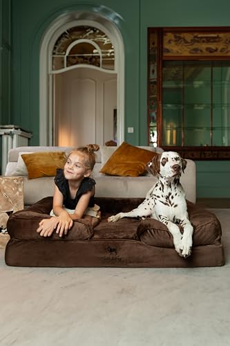 NOAH & PAW XL Dog Bed, 45x35x11 Inch, Orthopedic Large Dog Beds, Eggshell Memory Foam Infused with Cooling Gel, Inner Cove...
