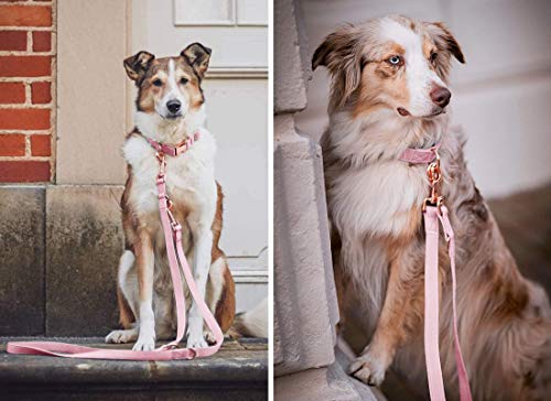 Soft Leather Dog Collar and Leash (6.6') Set - Stylish Rose Gold Heavy Duty Metal Buckle, 4 Adjustable Lengths Leash for S...
