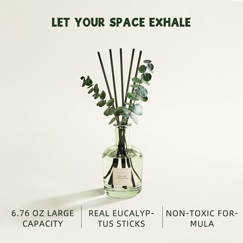 COCORRÍNA Wild Mint & Eucalyptus Reed Diffuser – 6.76 oz Essential Oil with 8 Reeds & Real Eucalyptus Sticks, Home Fragran...