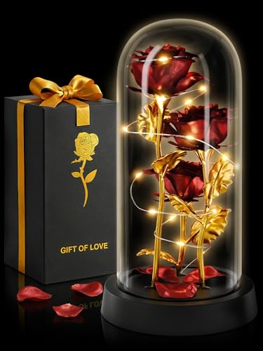Rose in Glass Dome with LED Lights in Gift Box — Mothers Day Gifts for Mom Grandma, Birthday Gifts for Women, Lighted Glas...