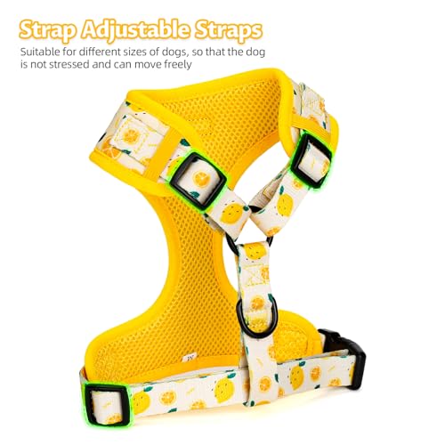 Dog Harness and Leash Set, Adjustable Dog Harness, Dog Leash, No Pull No Choke Puppy Harnesses for Walking Training for Sm...