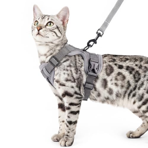 pangdi Cat Harness and Leash Set Escape Proof Tactical Extra Large Kitten Harness Emotional Support Cat Vest, Grey, XL