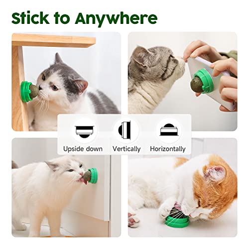 Potaroma Catnip Toys Balls 4 Pcs, Extra Cat Energy Ball, Edible Kitten Silvervine Toys for Cats Lick, Healthy Kitty Teeth ...