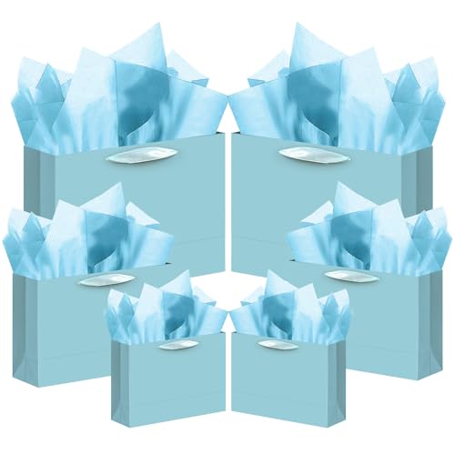 qiqee 10PCS Lake Blue Gift Bags with Ribbon Handles Mulit Assorted Sizes Gift Wide Bags (2pcs Large 13", 4pcs Medium 9.6",...