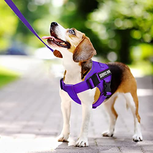 voopet Service Dog Harness, Emotional Support Pet Vest Harness, Reflective Breathable and Adjustable No-Pull ESA Dog Harne...