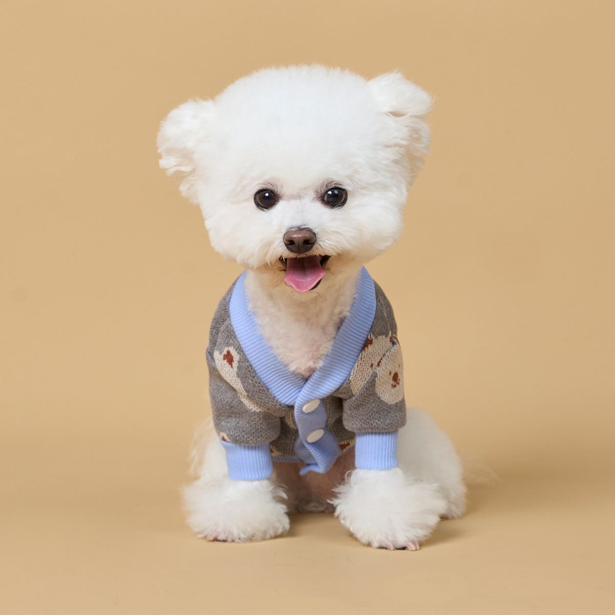 Casual-style Pet Sweater With A Little Bear Print