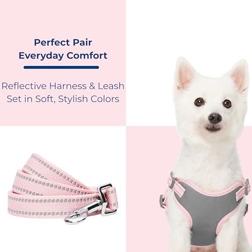 Blueberry Pet Matching Reflective Harness and Leash Set | Adjustable Pastel Vest with Lead for Dogs – Great Value Gift Set...