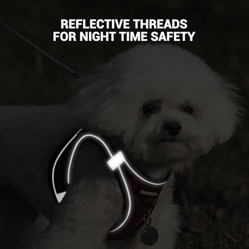 Dog Harness and Leash Set, Dog Harness for Dogs No Pull, No-Chock Step-in Reflective Breathable Lightweight Easy Walk Vest...