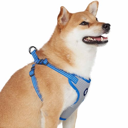 Blueberry Pet Dog Harness and Leash Set, Puppy Essentials for Large Dogs, Medium Sized Dogs, and Puppies, Reflective Dog C...