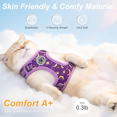 BEAUTYZOO Cat Harness, Escape Proof Cat Leash and Harness Set for Walking, Soft Breathable Vest Harness with Neck Adjustab...