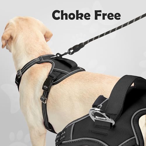 Funfox Dog Harness Medium Sized Dog, Vertical Handle Easy Control, No Pull Pet Vest Adjustable with 2 Leash Clips, Soft Ma...