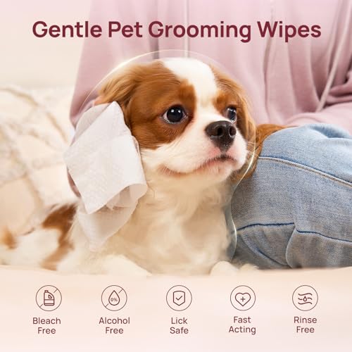HICC PET Wipes for Dogs and Cats, Vet-Recommended Pets Cleaning Wipes, Deodorizing Hydrating, Nourishes Smoothes Fur, Ferm...