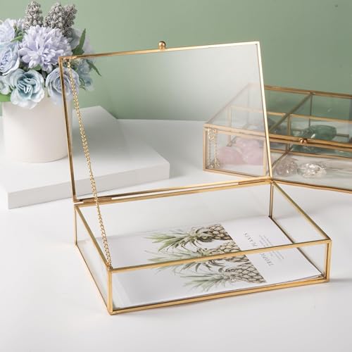 Feyarl Gold Glass Jewelry Trinket Box 5 x 7 Photo Cards Shadow Lidded Box Organizer Collection Display Case Decorative Kee...