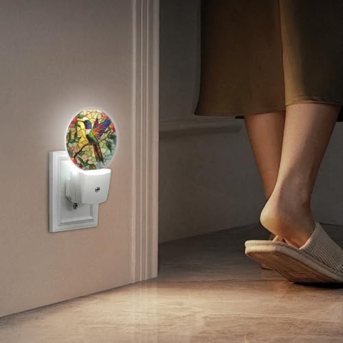 Mearafois LED Night Lights Lamp with Dusk to Dawn Sensor, Colorful Hummingbird Perched On Branch Night Light Plug Into Wal...