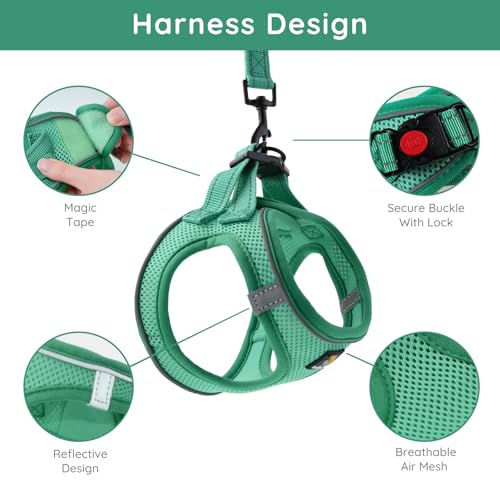 BELLA & PAL Small Emerald Dog Harness with Leash Set, No Pull, Step in Design, Reflective, Lightweight Mesh, S