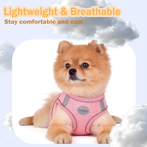 Small Dog Harness and Leash Set, Step-in Puppy Vest with Breathable Soft Padded Mesh, Walking Reflective Pet Harness for S...