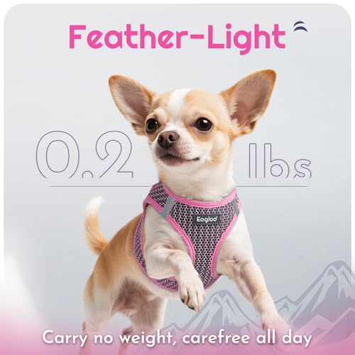Eagloo Small Dog Harness and Leash Set, Step in Puppy Vest with Breathable Soft Mesh, Walking Reflective Pet Harness for S...