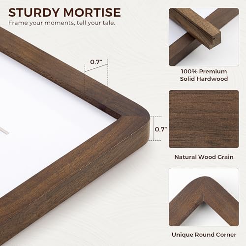 24x30 Picture Frame - Solid Walnut Wood Frames with HD Tempered Glass, Handcrafted Rounded Corner 24x30 Frame Matted to 18...
