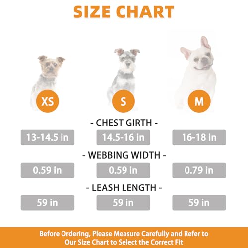 KOOLTAIL Dog Harness and Leash Set, Cute Dog Harness Medium Sized Dog, Step in No Pull Soft Mesh Pet Vest Harness Collar f...