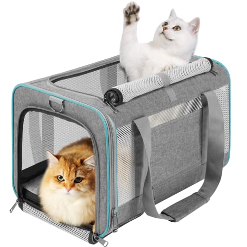 GAPZER Pet Carrier for Large Cats 20 lbs+ / Soft Sided Small Dog Travel Carriers Top Load/Collapsible Carrier Bag for Big ...