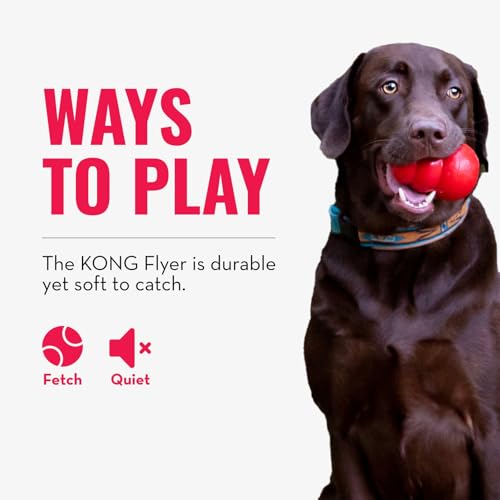 KONG Flyer - Durable Dog Toy for Outdoor Playtime - Natural Rubber Flying Disc, Dog Toy for Fetch - Safer Disc for Healthy...