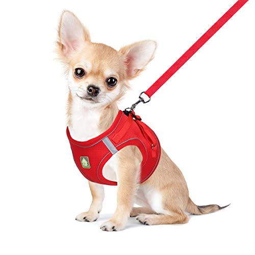 FEimaX Dog Harness and Leash Set, No Pull Breathable Soft Mesh Puppy Vest Harness Reflective Adjustable Pet Harnesses for ...