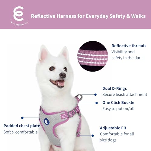 Blueberry Pet Essentials Back to Basics Reflective Dog Harness Vest, Mauve Orchid, Medium, Adjustable Harnesses for Dogs