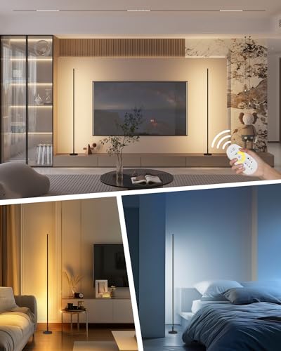 TACAHE Minimalist Corner Floor Lamp - 2700K-6500K Dimmable LED Night Light - Modern Standing Mood Lamp with Remote Control...