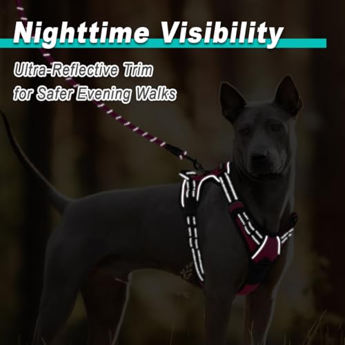 BARKBAY No Pull Pet Harness Dog Harness Adjustable Outdoor Pet Vest 3M Reflective Oxford Material Vest for PINK Dogs Easy ...