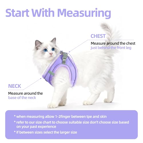 Solmoony Sparkly XXXS Dog Harness and Leash Set, Step in Soft Light Puppy Vest, Breathable Reflective Pet Harness for Walk...