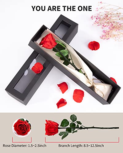 SofLiv Flowers for Delivery Prime, Preserved Roses Flower Gifts for Women, Real Roses Single Rose Presents for Her, Mom Bi...