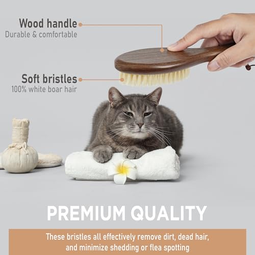 TAKAVU Natural White Boar Bristle Cat Brush - Gentle Grooming Tool for Sensitive Skin, Smoothing Fur & Healthy Shine - Sof...