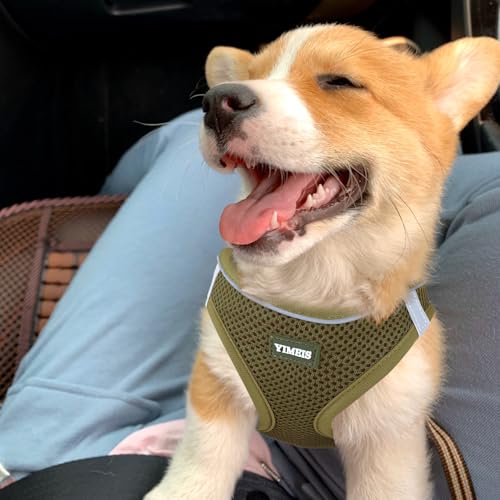 YIMEIS Dog Harness and Leash Set, No Pull Soft Mesh Pet Harness, Reflective Adjustable Puppy Vest for Small Medium Large D...