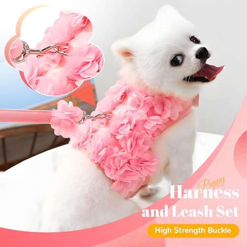 TENGZHI Cute Small Dog Harness and Leash Set Pink Lace Floral Girl Puppy Harness for Small Dogs Cats Soft Mesh Dog Vest Ha...