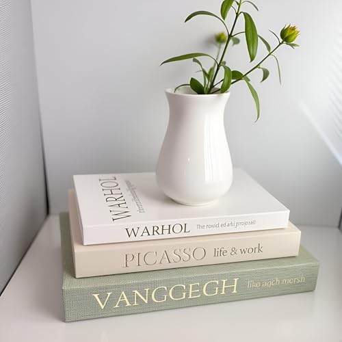 NLGQ Set of 3 Decorative Books - Linen Faux Fake Books for Decor Aesthetic, Decorative Book for Coffee Table,Bookshelf,Off...
