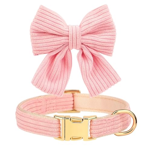 Didog Cute Dog Collar and Leash Set with Bowtie, Girl Dog Collars Metal Buckle Adjustable for Small Medium Dogs(Pink, S)