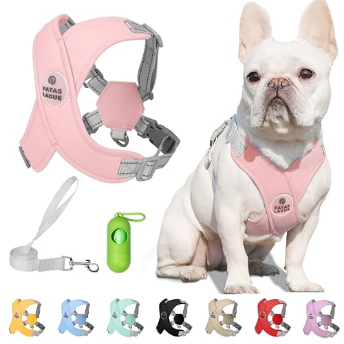 Patas Lague Dog Harness with Leash Set Adjustable Soft Padded Step-in Dog Vest No Choke No Pull Reflective for Small Mediu...