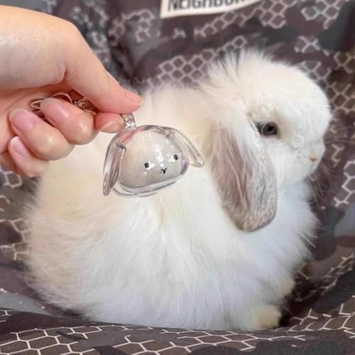 Bunny Fur Keepsake Keychain, Transparent Rabbit Hair Storage Bottle, Pet Hair Container Keychain, Bunny Lover Collecting Gift